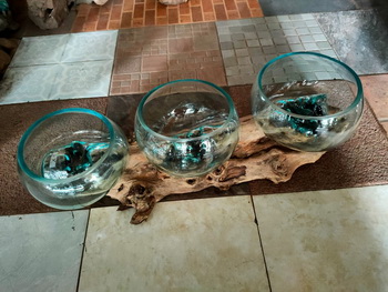aquarium bowl on wood