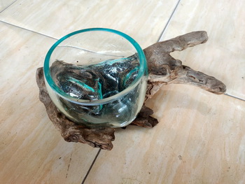 aquarium bowl on wood