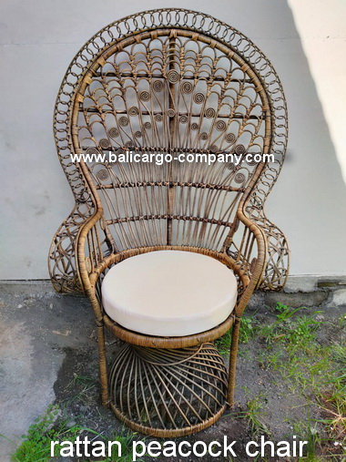 rattan peacock chair