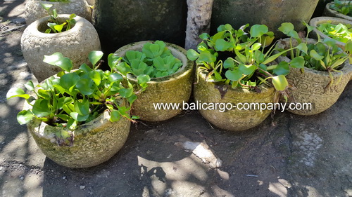 garden cement pot